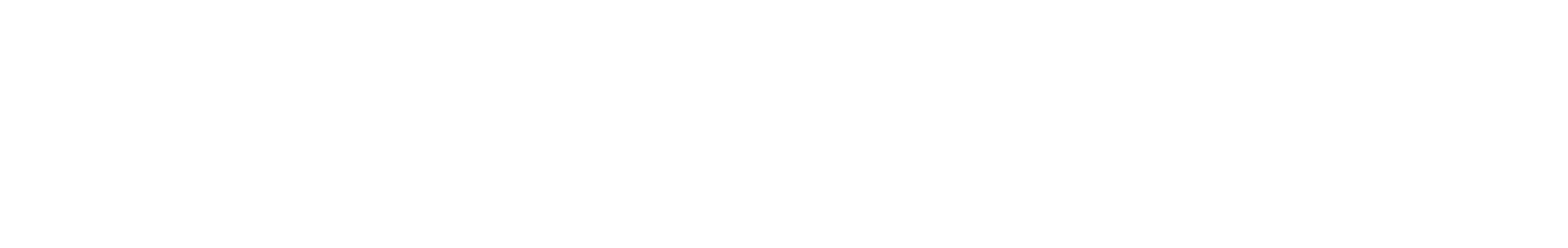 Logo Cardital